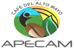 apecamperu.com